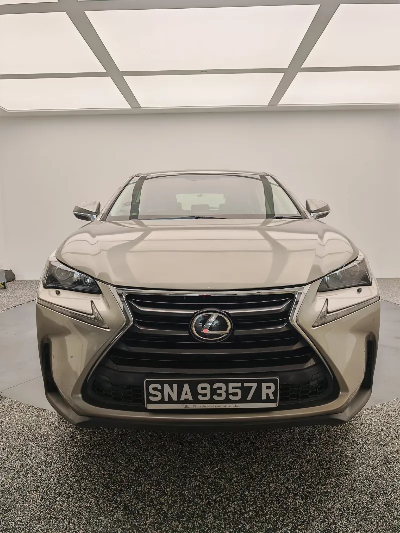 2016 Lexus NX200T