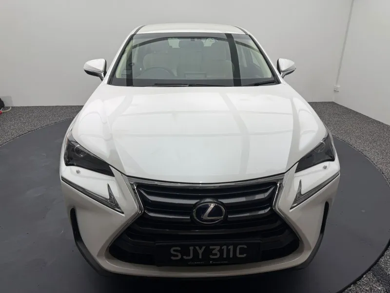 2016 Lexus NX300H